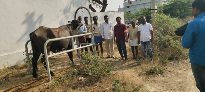 పర్వేదులలో ఉచిత పశువైద్య శిబిరం