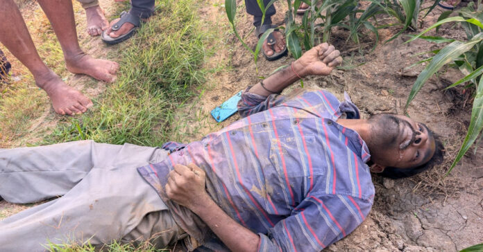 Man dies after being hit by live wire for wild boars