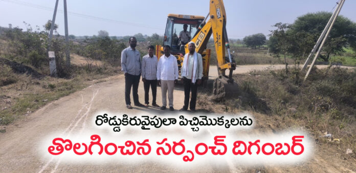 Sarpanch removes invasive plants