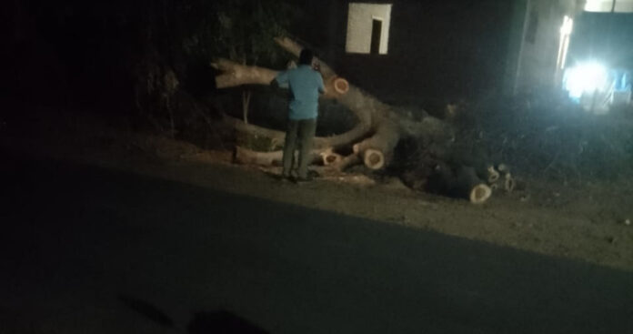 Is the investigation a mantra?