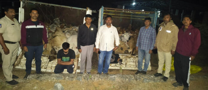 అక్రమంగా తరలిస్తున్న 26 పశువులు స్వాధీనం