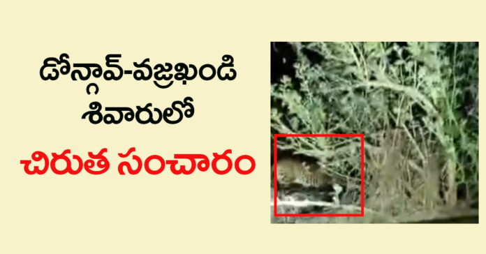 డోన్గావ్-వజ్రఖండి శివారులో చిరుత సంచారం