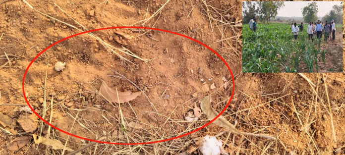 గ్రామాల శివారుల్లో ఆగని చిరుత పులి సంచారం