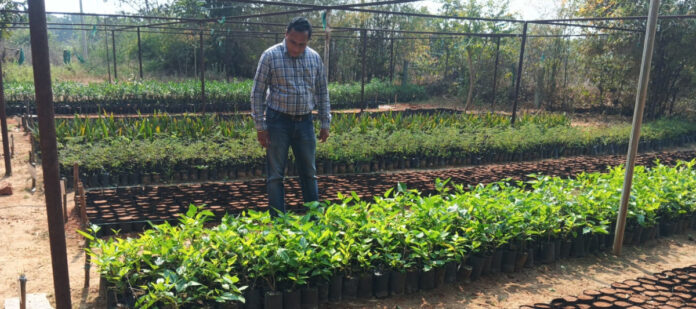 నర్సరీ పరిశీలించిన ఎంపీడీఓ లక్ష్మారెడ్డి