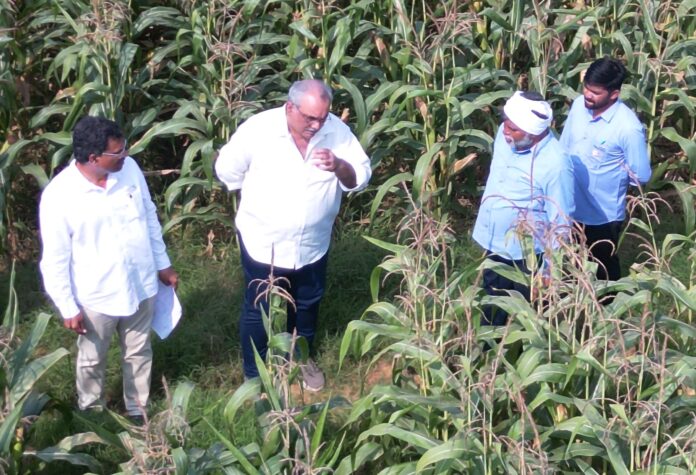 Gourmet Popcorn Wins ICAR-IIMR Award