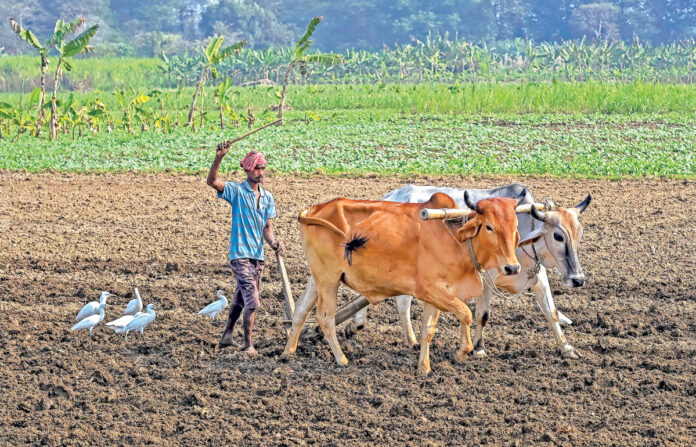 రాయితీలకు కోత