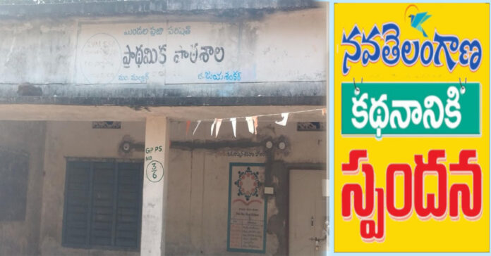 Response to the Navatelangana article