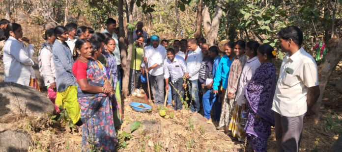 Sarpanch starts employment work in Gollapalli