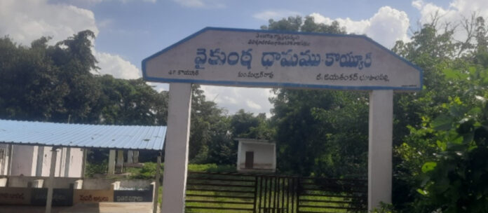 తడి, పొడి ఉసేలేదు.!