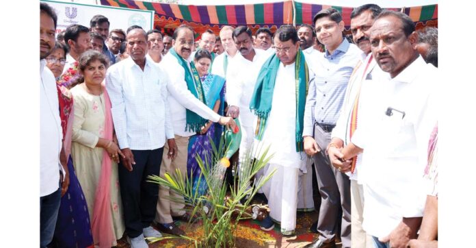 మాస్‌ ప్లాంటేషన్‌