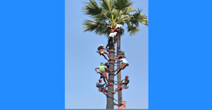 Happy Ellamma Bonalu..