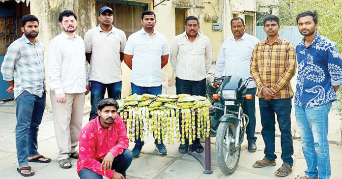 బాదంమిల్క్ కాదు…గంజాయి తండాయ్