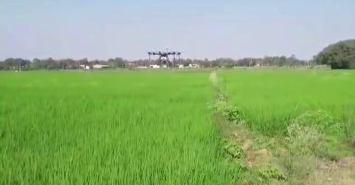 ‘జాతీయ ప్రకృతి వ్యవసాయం’ అమలుకు ప్రత్యేక అధికారులు