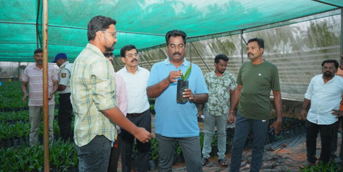 Quality standards should be followed in plant cultivation.