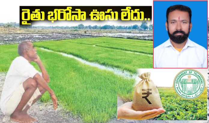 Looking forward to farmer's assurance!