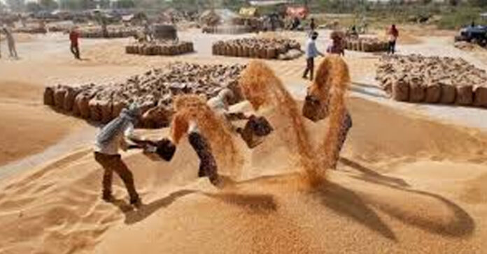 రూ.192 కోట్ల ధాన్యం కుంభకోణం