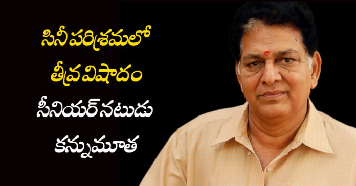 సినీ పరిశ్రమలో తీవ్ర విషాదం..