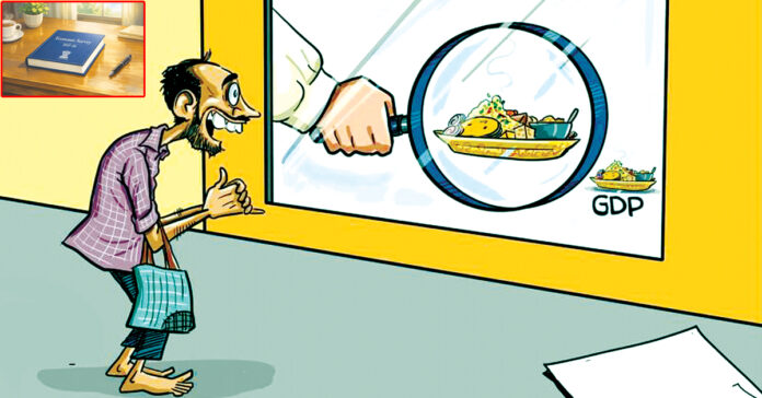 The economic survey missed the mark.