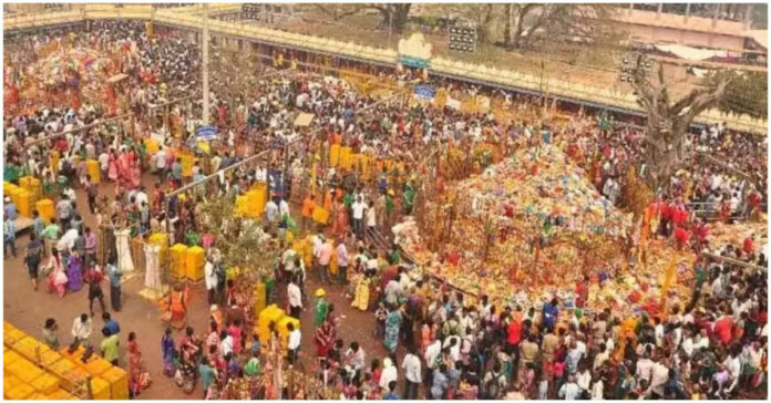 Counting of Medaram hundis today