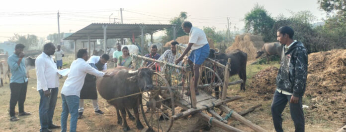 బస్వపూర్లో పశువైద్య శిబిరం