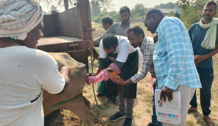 Veterinary camp in Gangaram
