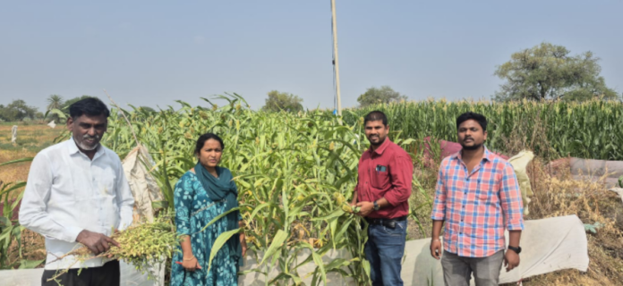 Which king inspected the crops?