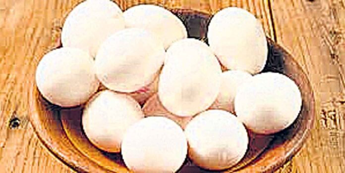 40 దేశాల కోళ్లు, గుడ్లపై సౌదీ నిషేధం జాబితాలో భారత్