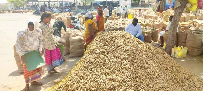 గ్రేడింగ్లో పాస్ అయితేనే సేల్