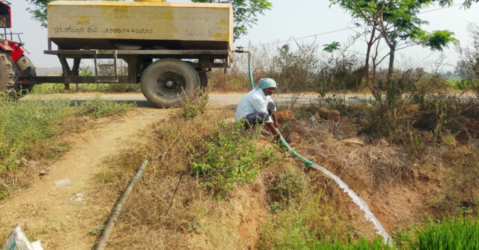 Drying crops.. Farmer watering with a tanker