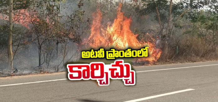 నస్తురుపల్లి అటవీ ప్రాంతంలో కార్చిచ్చు