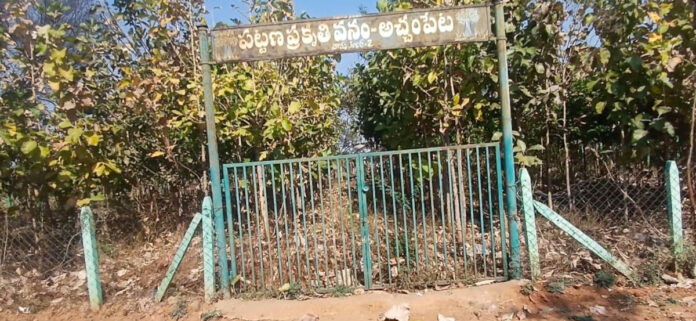 కళాహీనంగా.. ప్రకృతి వనాలు