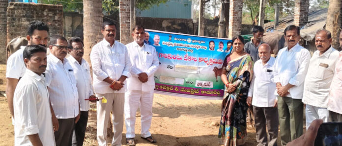 Diphtheria vaccination program begins