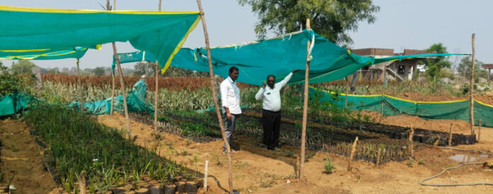 Proper care should be taken for plant care.