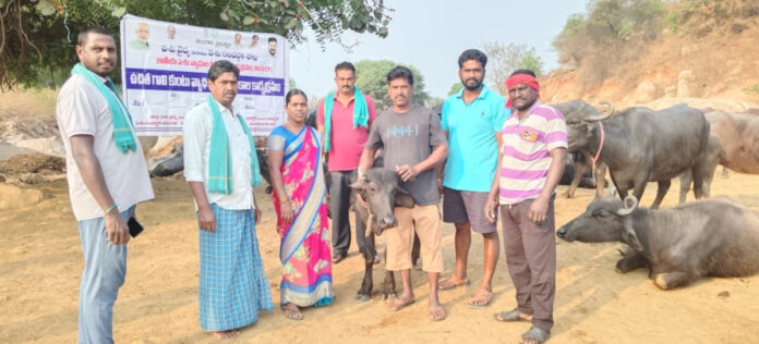 బషీరాబాద్ లో గాలి కుంటూ నివారణ టీకాల శిబిరం