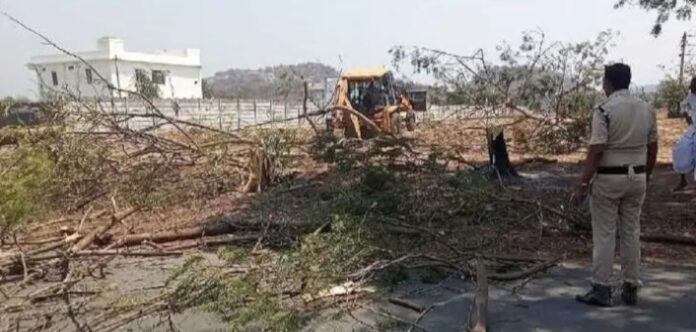 బీటీ రోడ్డుపై విరిగి పడ్డ చెట్లు