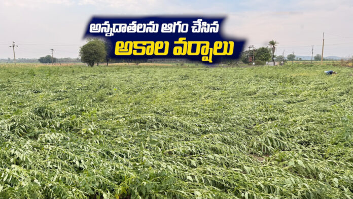 అన్నదాతను ఆగం చేసిన అకాల వర్షాలు