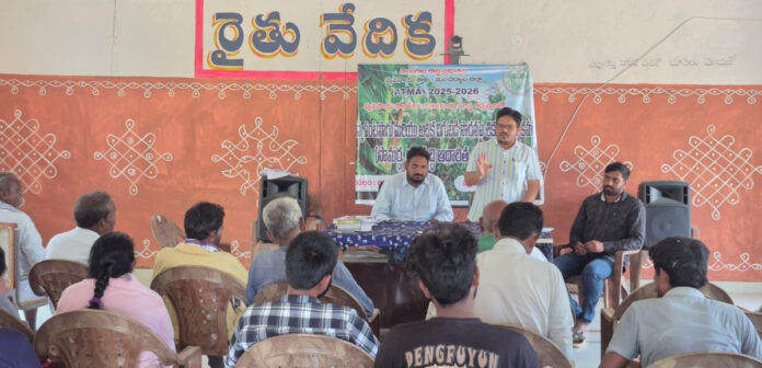 Farmers should cultivate high-yielding rice varieties