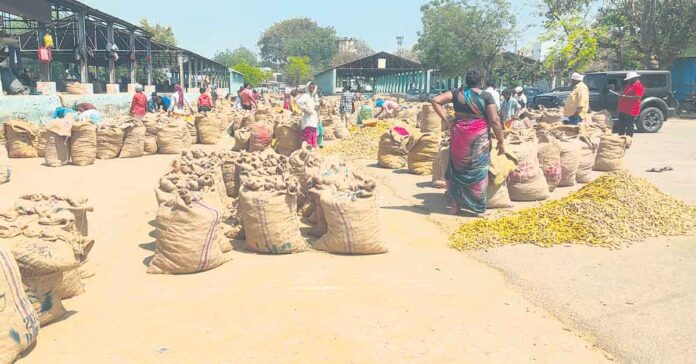 యుద్ధం బూచీ.. పడిపోయిన పసుపు ధర