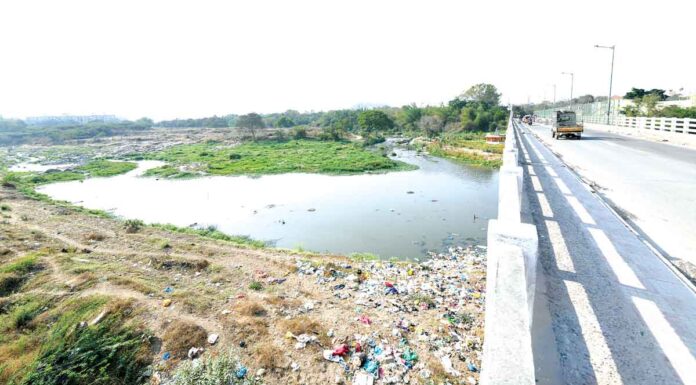 On the front of the mouse