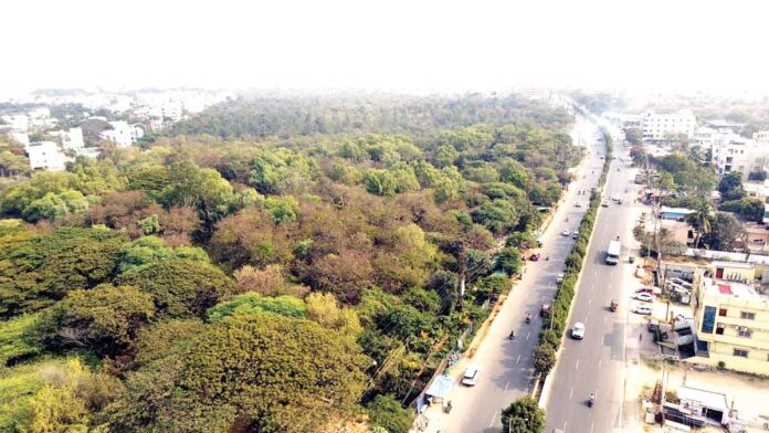 The government has declared the Gurramguda forest area a Reserve Forest.