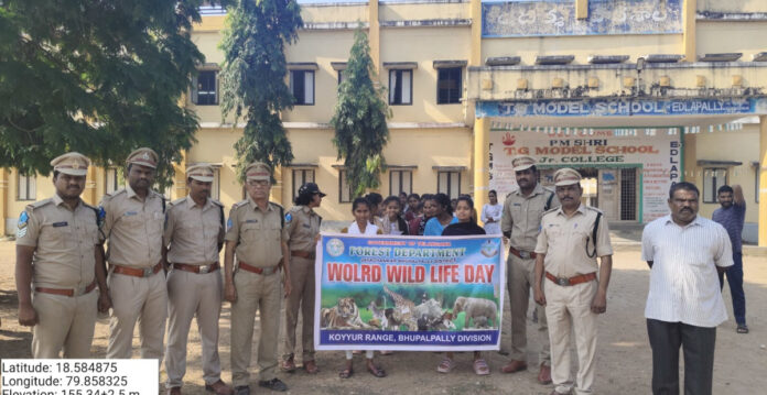 Students' awareness on the importance of animals