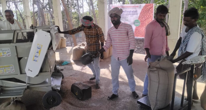 The crop should be sold at purchasing centers.