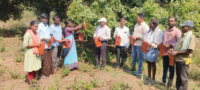 Farmers' awareness on oil farm cultivation