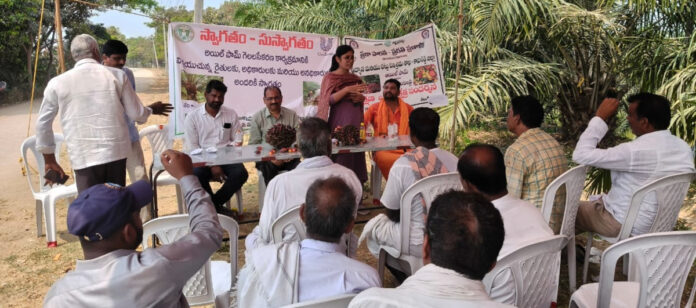 Farm oil long-term income