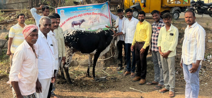 Take advantage of the pertussis vaccines