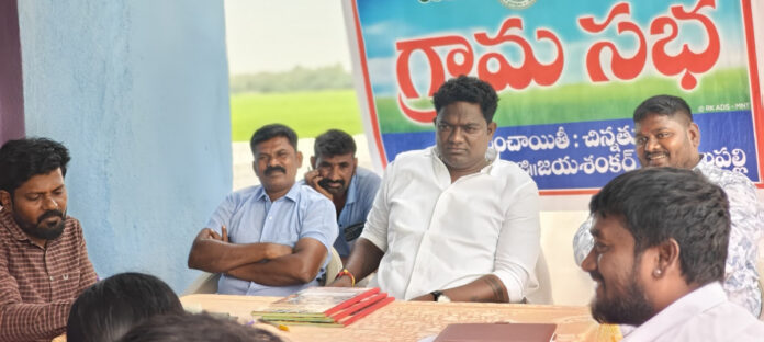 Efforts to ensure that public problems are resolved from time to time