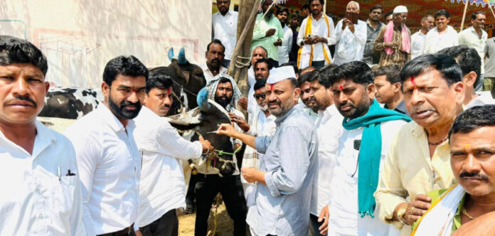 MLA involved in the People's Governance-Progress Plan