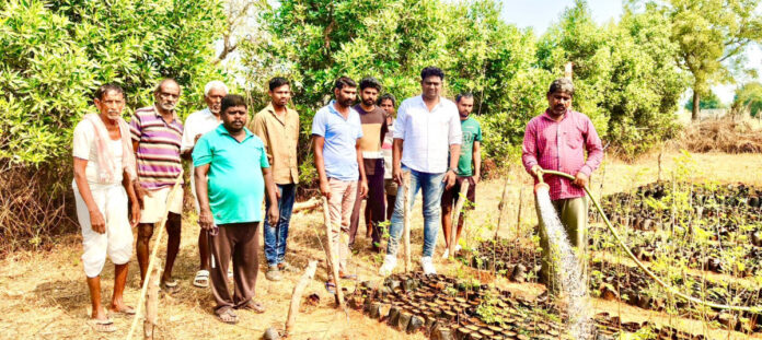 నర్సరీలోని మొక్కలకు రెండు పూటలా నీళ్లు పట్టాలి