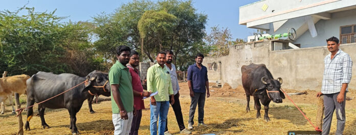 Protecting living beings with vaccines!