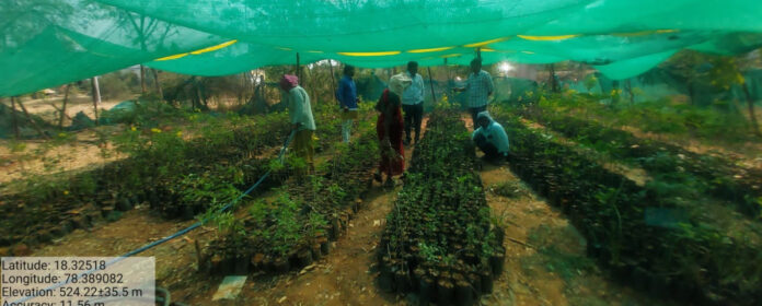 DLPO Srinivas inspected the nurseries